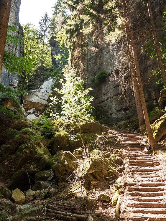 Elbsandsteingebirge - Sächsische Schweiz - Abstieg über die Schwedenlöcher nach Rathen