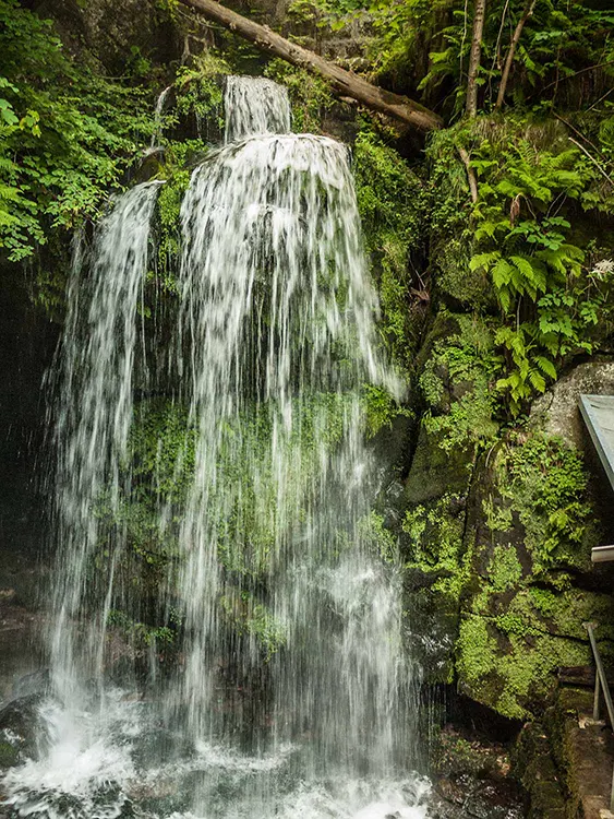 Elbsandsteingebirge - Amselfall in Rathen