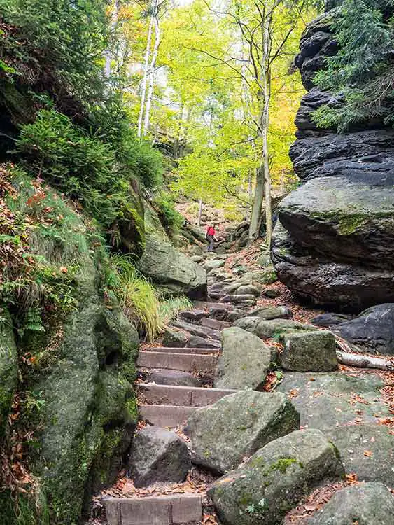 Elbsandsteingebirge - Aufstieg vom Elbleitenweg zur Breiten Kluft Aussicht