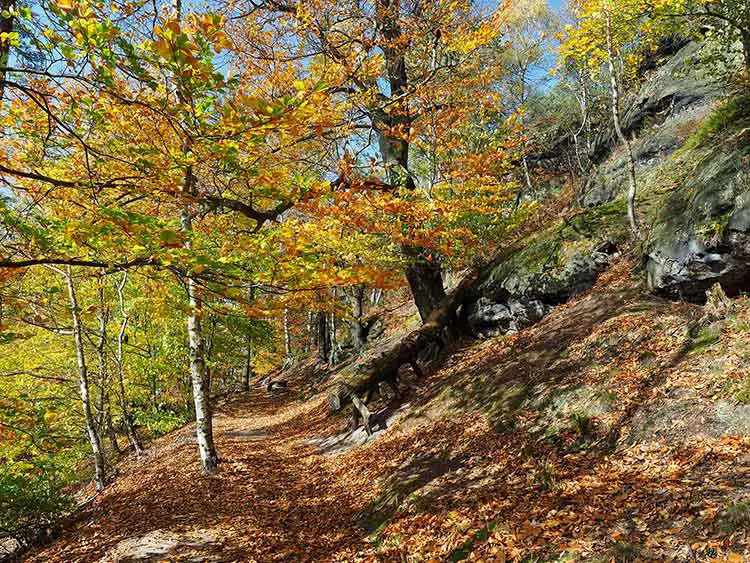 Elbsandsteingebirge - Schrammsteinweg