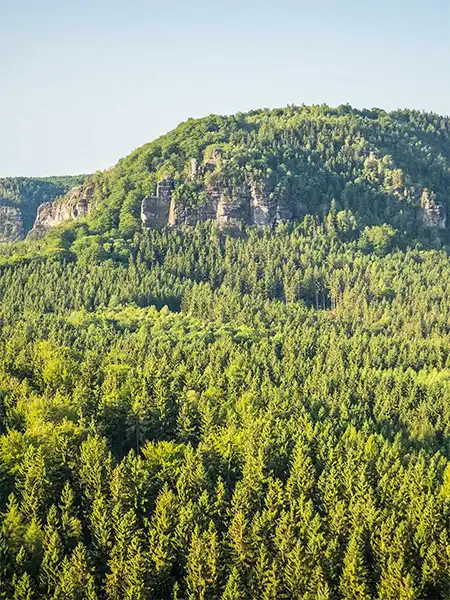 Elbsandsteingebirge - Kleiner Winterberg