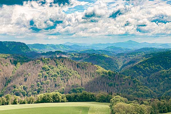 Blick in die Böhmische Schweiz