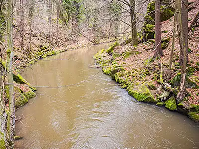 1. Etappe Malerweg - Wesenitz bei Lohmen