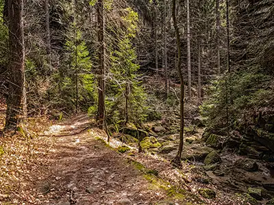 1. Etappe Malerweg - Einstieg zum Uttewalder Grund