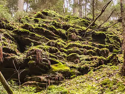 1. Etappe Malerweg - im Uttewalder Grund