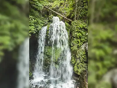 2.Etappe Malerweg - Amselfall bei Rathen