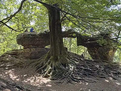4. Etappe Malerweg - Kleines Prebischtor