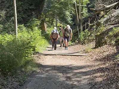 5. Etappe Malerweg - auf dem Roßsteig zur Goldsteinaussicht