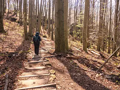 5. Etappe Malerweg - Abstieg nach Schmilka