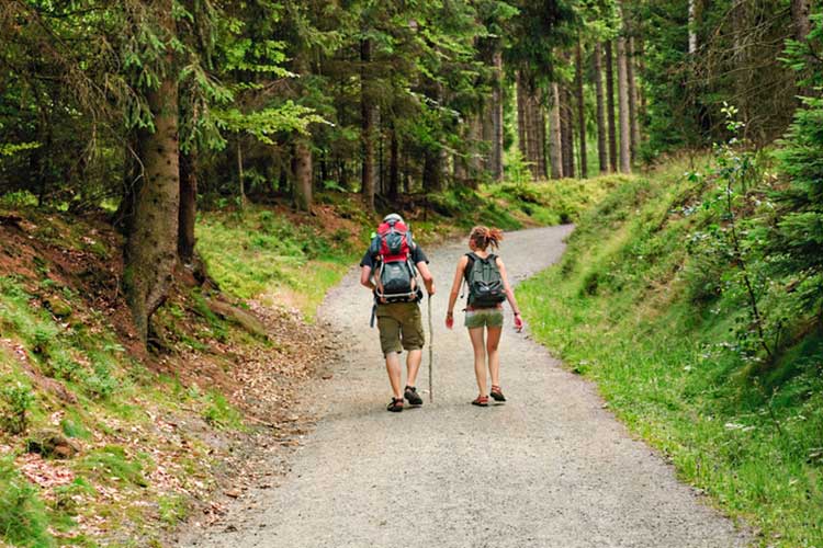 Wanderer in der Sächsischen Schweiz