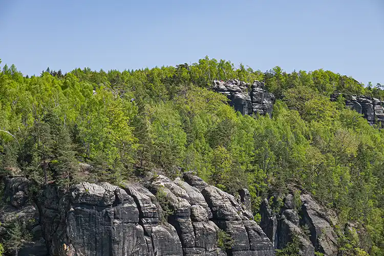 Blick von der Höllenwand zur Carolaaussicht