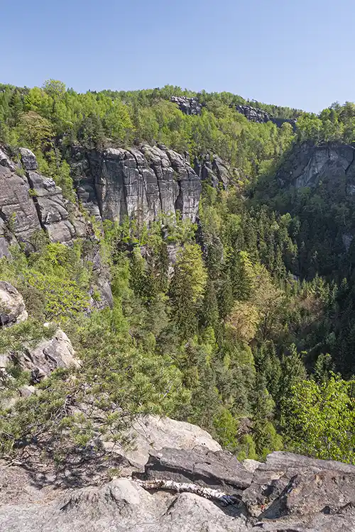 Blick von der Höllenwand zur Carolaaussicht