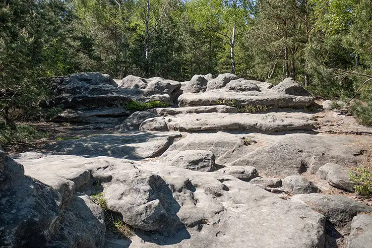 Sächsische Schweiz - Goldsteinaussicht Sächsische Schweiz - Goldsteinaussicht