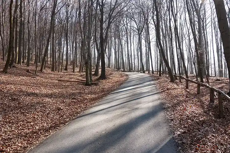 Elbsandsteingebirge - Winterbergstraße, Foto: O.Vette