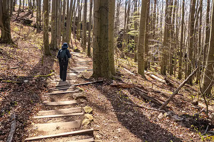 Abstieg über den Malerweg, Foto: O.Vetter