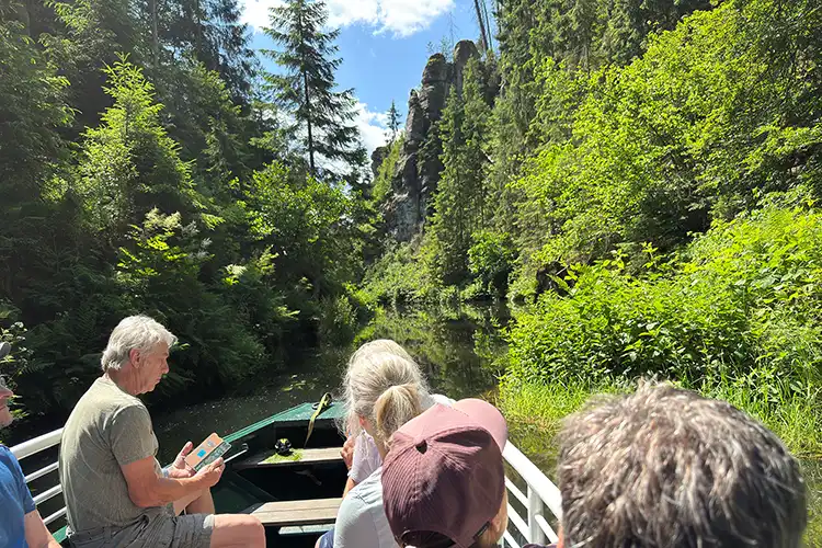 Blick in die Kirnitzschklamm