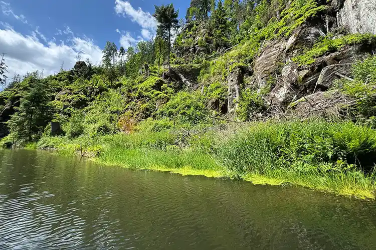 Blick in die Kirnitzschklamm