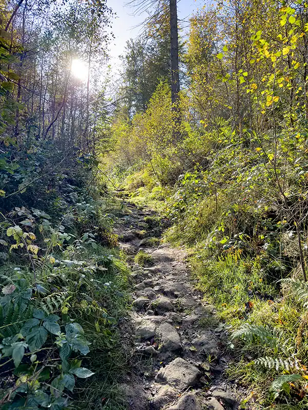 Sächsische Schweiz - Aufstieg von der Schandauer Straße