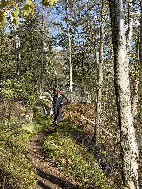 Elbsandsteingebirge - Wanderweg zu den Pohlshörnern