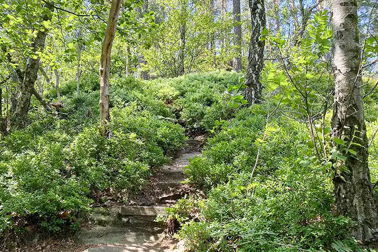 Elbsandsteingebirge - Leiter zur Carola-Aussicht