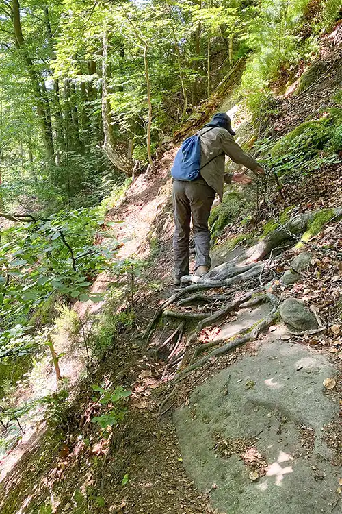 Blick von der Höllenwand zur Carolaaussicht