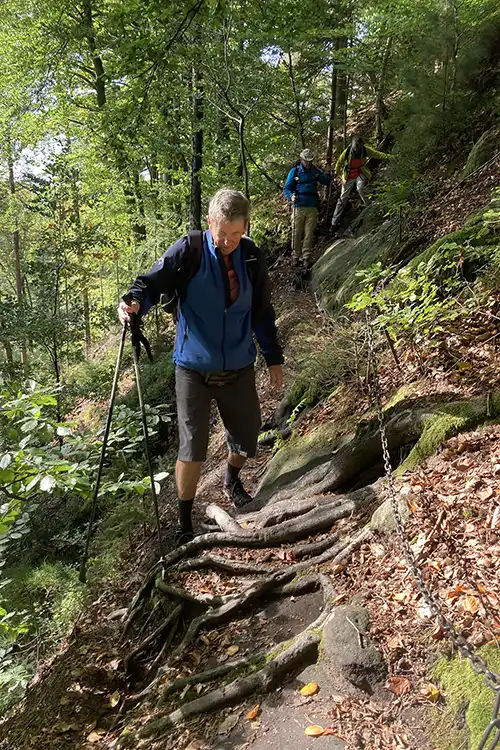 Blick von der Höllenwand zur Carolaaussicht