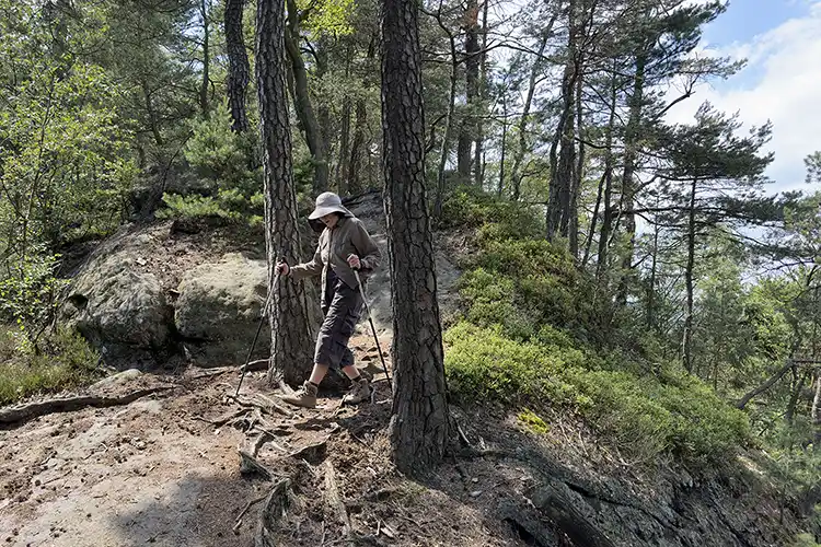 Aufstieg von der Affensteinpromenade zum Carolafelsen