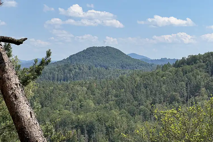 Elbsandsteingebirge - Leiter zur Carola-Aussicht