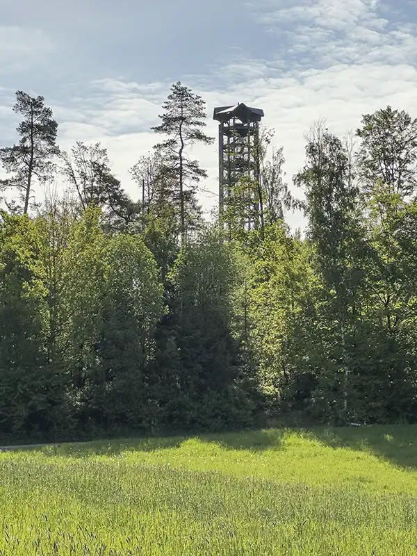 Elbsandsteingebirge - Weifbergturm